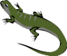 prop